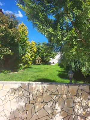 De vanzare vila 6 camere zona Nymphaea - imagine 4