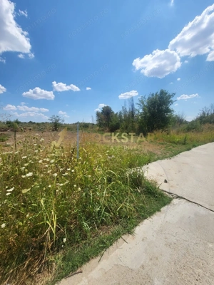 Teren 579 mp | Soseaua Cernica | Pantelimon - imagine 4