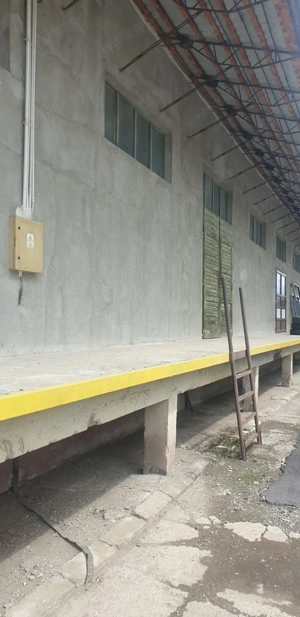 Hala depozitare Brasov - imagine 4 Hala depozitare Brasov - imagine 4