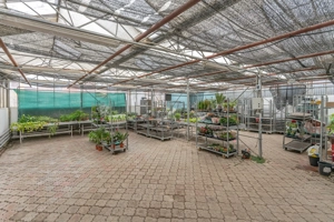 CASA BARTOLOMEU- sediu firma/ comercial/ servicii- zona circulata - imagine 9