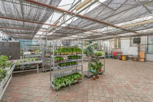 CASA BARTOLOMEU- sediu firma/ comercial/ servicii- zona circulata - imagine 12