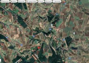 Teren cota parte 1/12 Deleni, ID: R2662164 - imagine 5