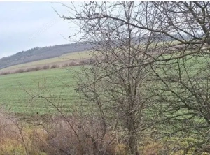 Teren cota parte 1/12 Deleni, ID: R2662164