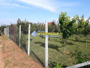 Teren Intravilan 481mp Alba Micesti - imagine 3