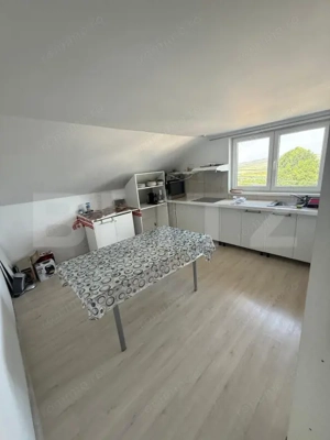 Casa/Vila multifunctioanala  285 mp utili, 800mp teren, zona Sf. Ilie - imagine 5