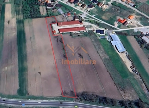 TEREN INTRAVILAN | 4300 MP | HIDISELUL DE SUS | BIHOR - imagine 3