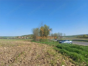 TEREN INTRAVILAN | 4300 MP | HIDISELUL DE SUS | BIHOR - imagine 5