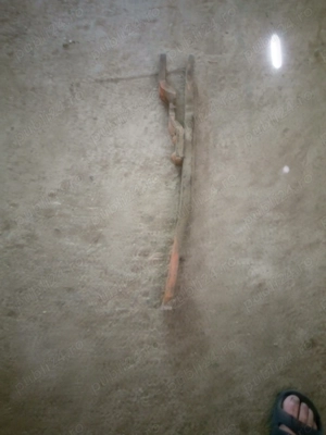 Bara tracțiune remorcare remorca după tractor case fiat  - imagine 2