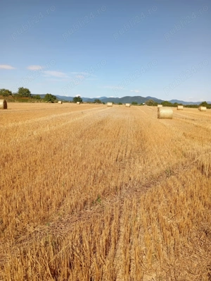 Teren  pentru diferite activitati de productie ,  transport ,constructii si depozitare  - imagine 5