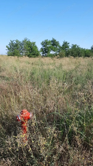 Teren 1200 mp, com.Tudor Vladimirescu,jud.Galati - imagine 5