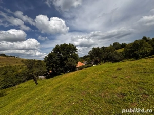 Casă de vânzare + 30.000 m  teren - imagine 3