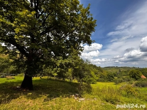 Casă de vânzare + 30.000 m  teren - imagine 2