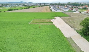 Teren Industrial - imagine 9