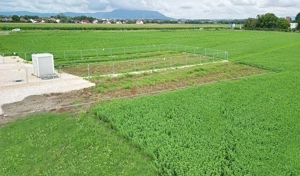 Teren Industrial - imagine 8