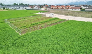 Teren Industrial - imagine 7