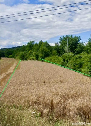 Vanzare Teren Turcinesti Artego Iezureni Cartiu Rugi Sambotin Vadeni Targu Jiu Curtisoara Bumbesti 