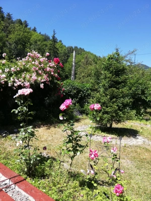 Apartament în casă tip vilă, cu curte proprie