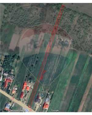 Teren intravilan Campuri / DJ 205E - imagine 3