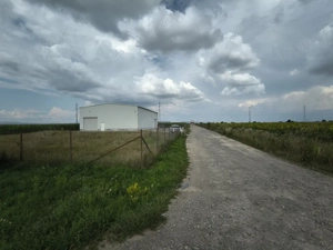 Teren industrial Ozun - Sfântul Gheorghe 13.200 mp - imagine 3