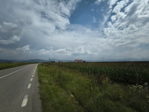 Teren industrial Ozun - Sfântul Gheorghe 13.200 mp - imagine 5