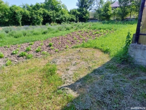 teren intravilan  - imagine 6