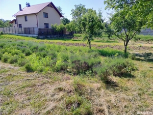 teren intravilan  - imagine 5