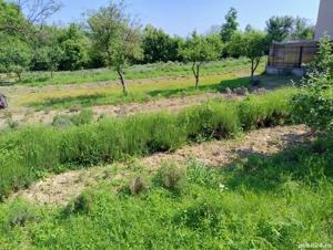 teren intravilan  - imagine 4