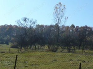 vand teren Pietrari la 2 KM de Govora