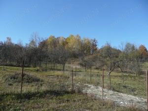 vand teren Pietrari la 2 KM de Govora - imagine 3