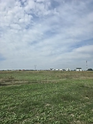 Mosnita Veche - 11 parcele - 10800 mp- CF individuale