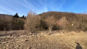 de vanzare teren intravilan 2600 mp Campu Cetatii jud Mures - imagine 3