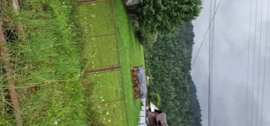 Bucovina Teren Pensiune, Vama, Brazi - imagine 3