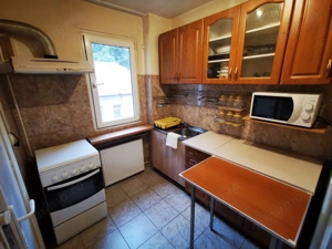 De inchiriat apartament 2 camere Take Ionescu - imagine 7