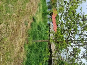 casa de vanzare  - imagine 4