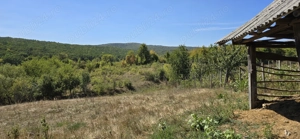 Casa batraneasca cu teren - imagine 6 Casa batraneasca cu teren - imagine 6