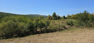 Casa batraneasca cu teren - imagine 5 Casa batraneasca cu teren - imagine 5