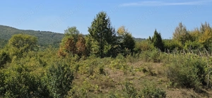 Casa batraneasca cu teren - imagine 4 Casa batraneasca cu teren - imagine 4