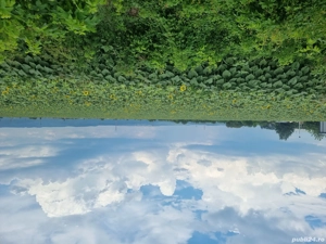 19900 mp teren Letea Veche Bacau - imagine 3