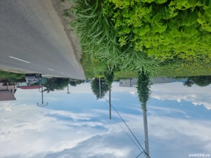 19900 mp teren Letea Veche Bacau - imagine 4