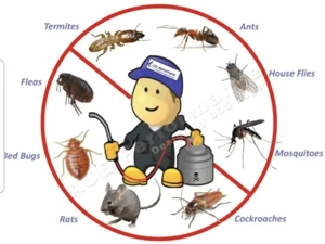 ##Deratizare -Dezinsectie -Dezinfecție  ## - imagine 2