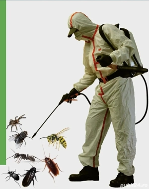 ##Deratizare -Dezinsectie -Dezinfecție  ##