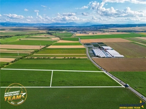 FILM! 30.200 mp teren intravilan,recomandat: investitie exploatare agricola,Valea Crisului