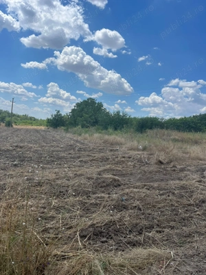 Teren de casa 1000 mp | VALEA ARGOVEI