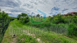 Teren intravilan 2732 mp, Strada 1 Mai, Somcuta Mare, zona de case - imagine 6