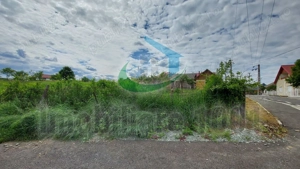 Teren intravilan 2732 mp, Strada 1 Mai, Somcuta Mare, zona de case - imagine 5