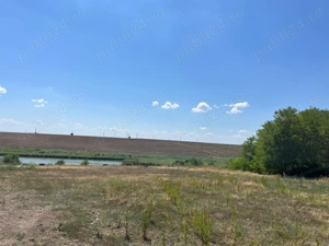 Teren langa Balta Mostistea | FRASINET | Com Ostrovu Jud Calarasi