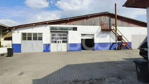 Spatiu industrial de 300 mp de inchiriat in Sebes Alba - imagine 3