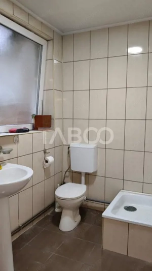 Spatiu industrial de 300 mp de inchiriat in Sebes Alba - imagine 4