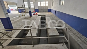 Spatiu industrial de 300 mp de inchiriat in Sebes Alba - imagine 7