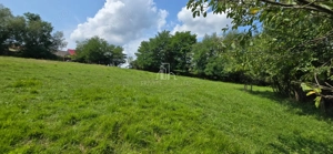 Teren, Albești, str Podului - imagine 6